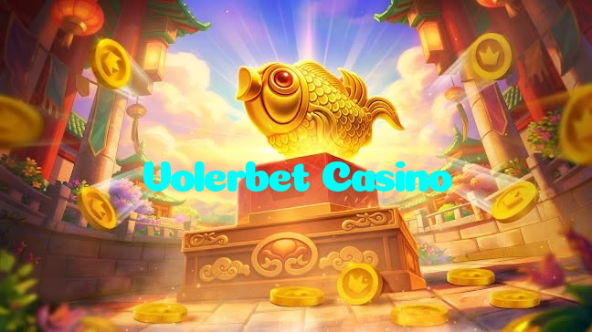 available types of Volerbet Casino bet including pre-match live express and system bets